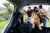 Family with dog in car boot