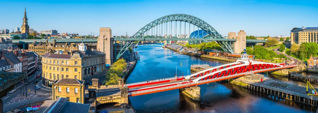 Bridges in Newcastle