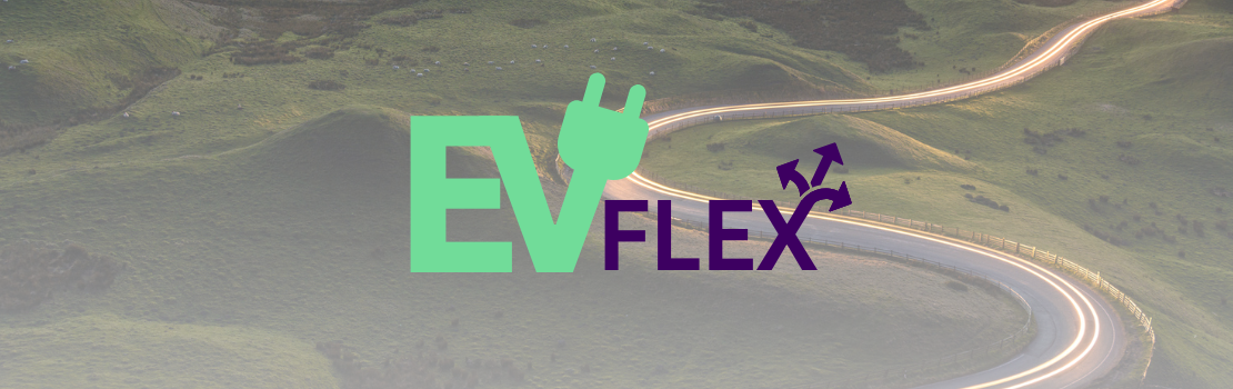 Banner for EV Flex